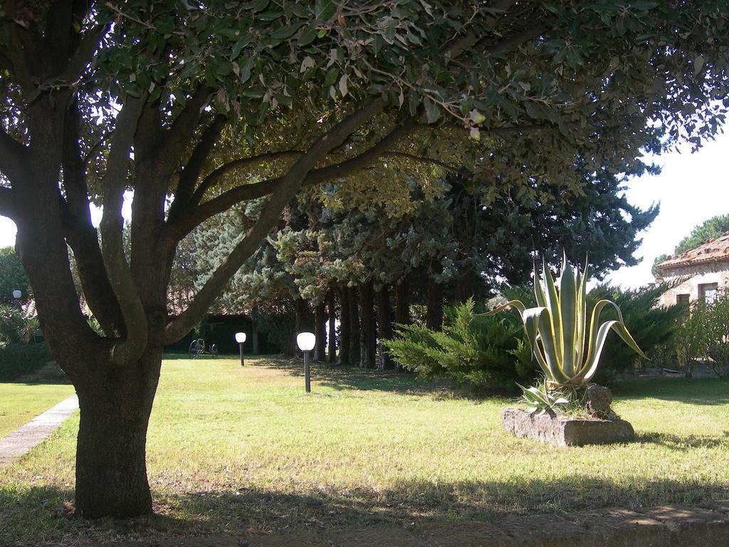 Tenuta Di Pontesodo Montalto di Castro Εξωτερικό φωτογραφία