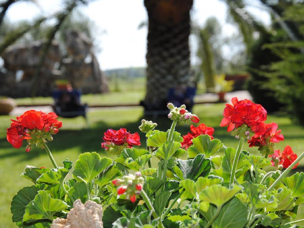Tenuta Di Pontesodo Montalto di Castro Εξωτερικό φωτογραφία