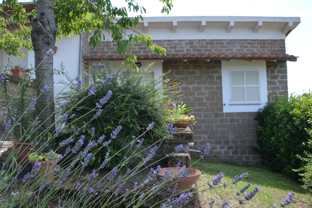 Tenuta Di Pontesodo Montalto di Castro Εξωτερικό φωτογραφία