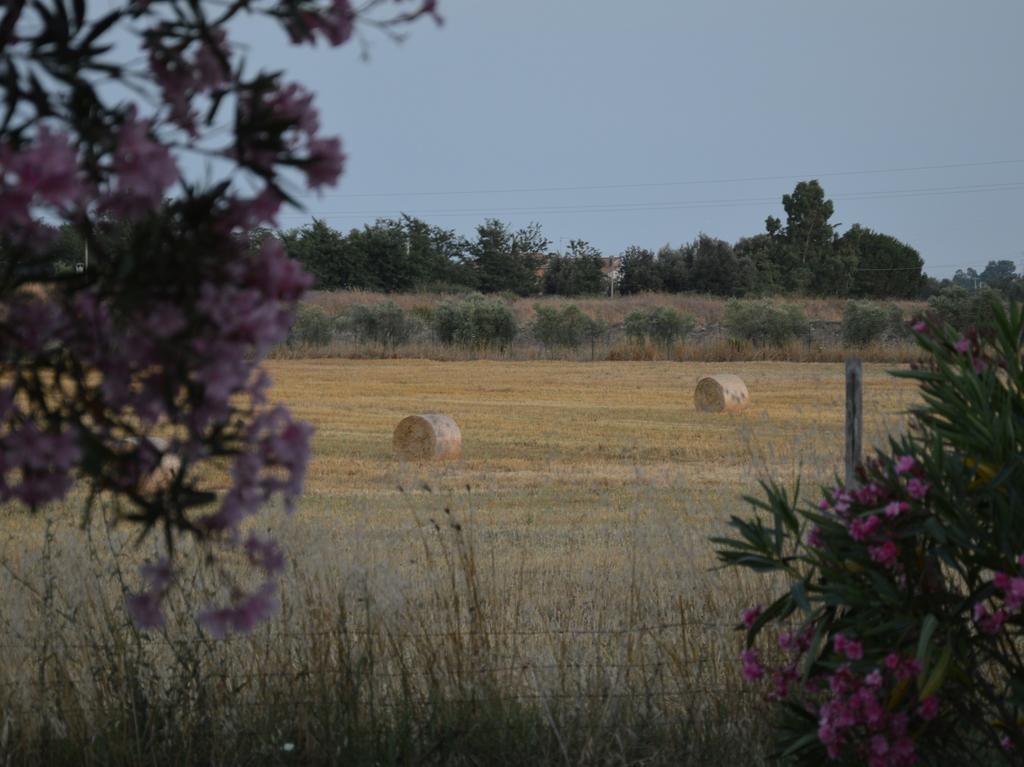 Tenuta Di Pontesodo Montalto di Castro Εξωτερικό φωτογραφία