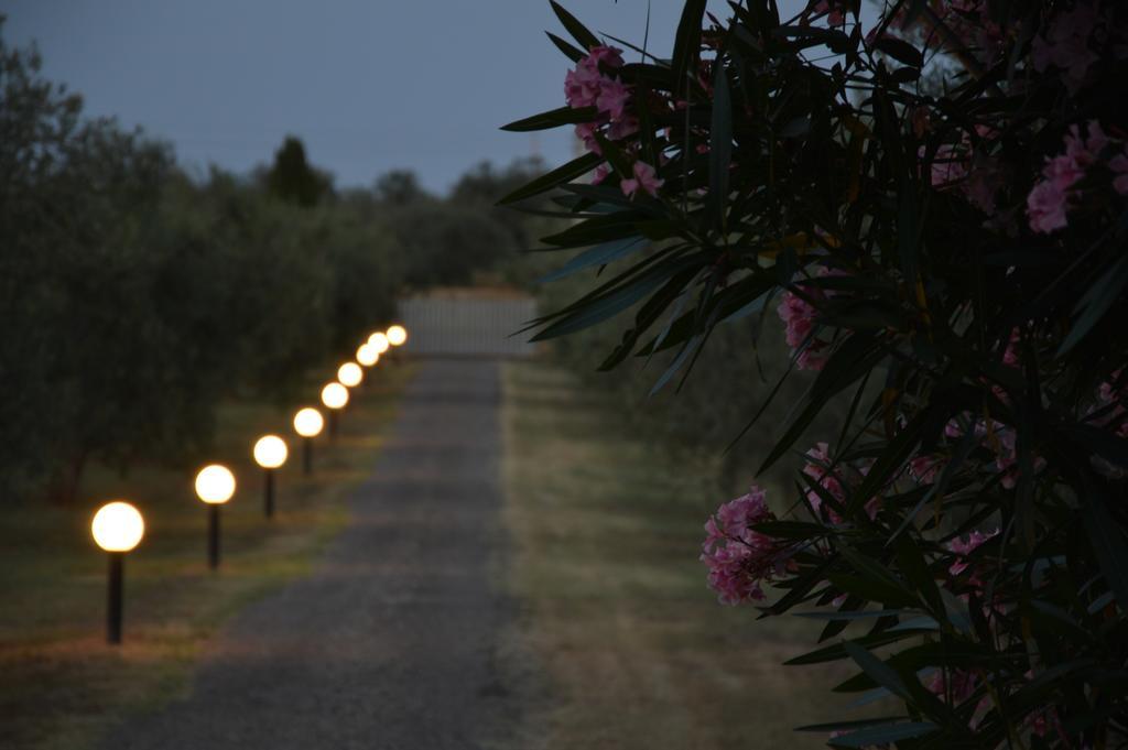 Tenuta Di Pontesodo Montalto di Castro Εξωτερικό φωτογραφία
