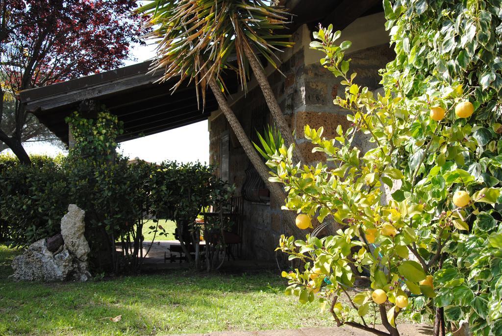 Tenuta Di Pontesodo Montalto di Castro Εξωτερικό φωτογραφία